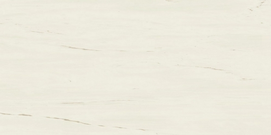 Фото плитки Marvel Bianco Dolomite 60x120 (A21C) керамогранит, размер 60x120