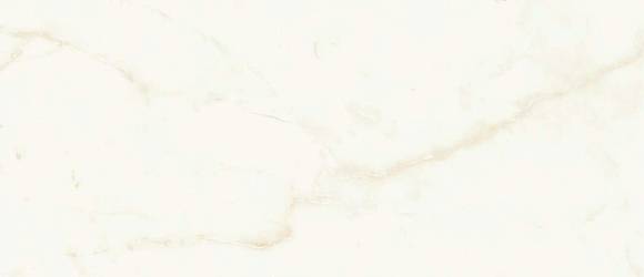 Плитка Marvel Calacatta Delicato 50x120 Silk (A4TT) 