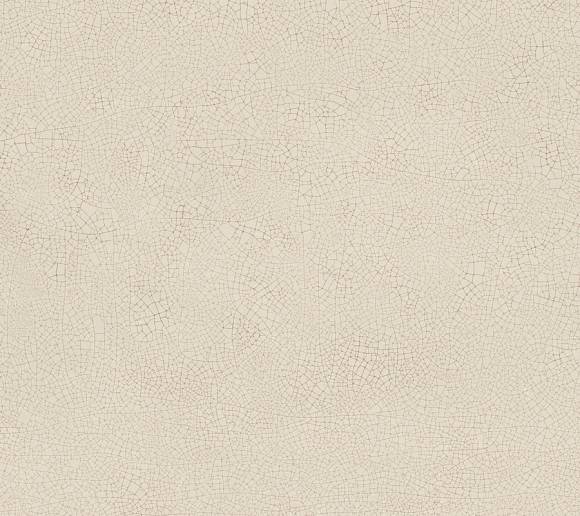 Плитка Vivia Crelis Shell 50x120 Lucido (HHIX)