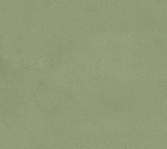 Плитка Vivia Crelis Light Green 50x120 Lucido (HHIY)