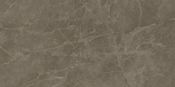 S.S. Grey Wax 60x120 (610015000311) Керамогранит