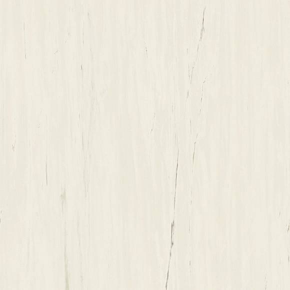 Керамогранит Marvel Bianco Dolomite 120x120 (A204) 