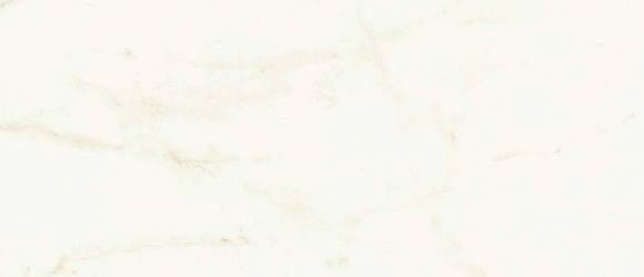 Плитка Marvel Calacatta Delicato 50x120 Silk (A4TT) 