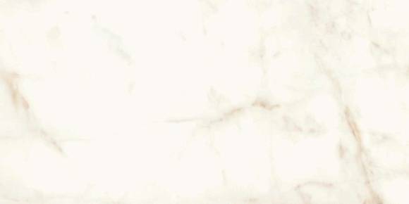 Керамогранит Marvel Calacatta Delicato 60x120 Matt (A4QW) 