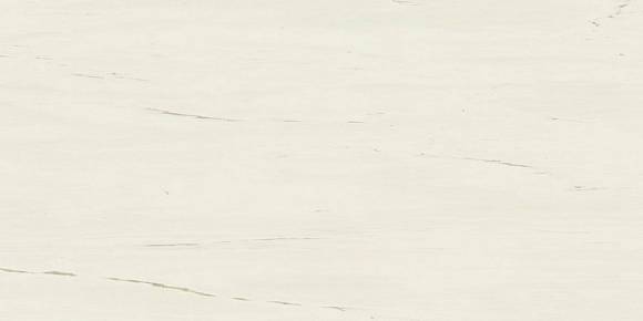 Керамогранит Marvel Bianco Dolomite 60x120 (A21C) 