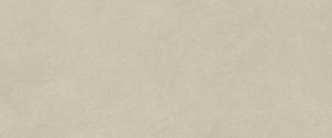 Плитка Boost Natural Pro Cinder 50x120 (AQ6P)