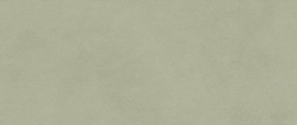 Плитка Boost Expression Olive 50x120 