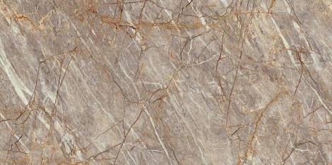 Керамогранит Natural Roots Polished 160x320 - 6mm Endless