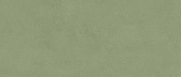 Плитка Vivia Crelis Light Green 50x120 Lucido (HHIY)