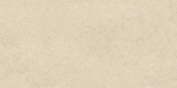 Керамогранит Nyra Utopia Acacia 120x240 (HGFC)