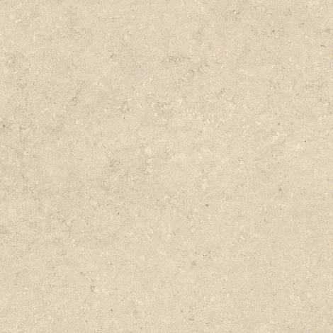 Керамогранит Nyra Utopia Acacia 120x120 (HGFN)