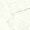 Керамогранит Marvel Calacatta Prestigio 120x120 Matt (A4Q5) 