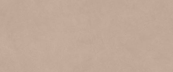 Плитка Boost Natural Pro Skin 50x120 (AQ6Q)
