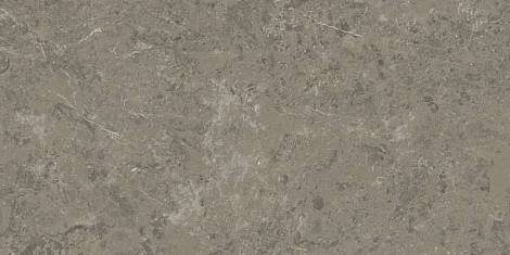Керамогранит Marvel Meraviglia Grigio Elegante 60x120 Lapp. (AJHW) 