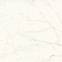 Керамогранит Marvel Calacatta Delicato 120x120 Matt (A4Q4) 