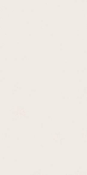 Керамогранит Absolute White Matte 160x320