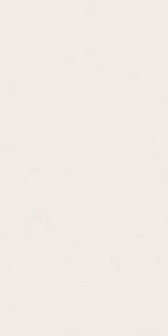 Керамогранит Absolute White Matte 160x320