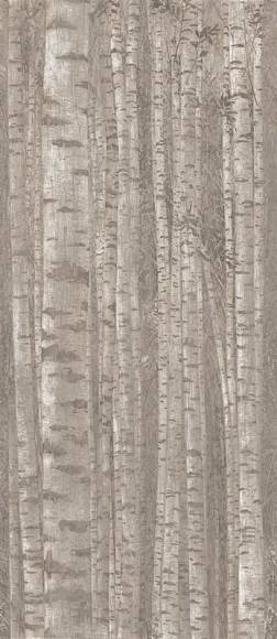 Декор Boost Pro Grove 120x278 (A0LW) 