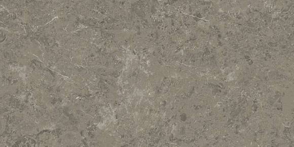 Керамогранит Marvel Meraviglia Grigio Elegante 60x120 (AJIU)