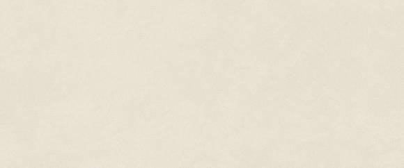 Плитка Boost Natural Pro Salt 50x120 (AQ6N)