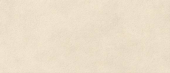 Плитка Boost Expression Grain Shell 50x120 