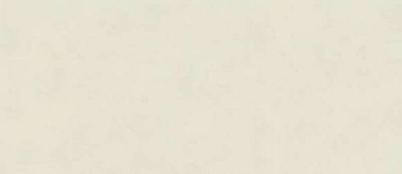 Керамогранит Boost Color Salix 120x278 6 mm (AKNI) 
