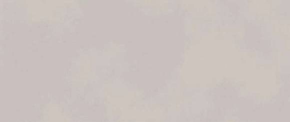 Плитка Boost Color Dove 50x120 (AKMY) 