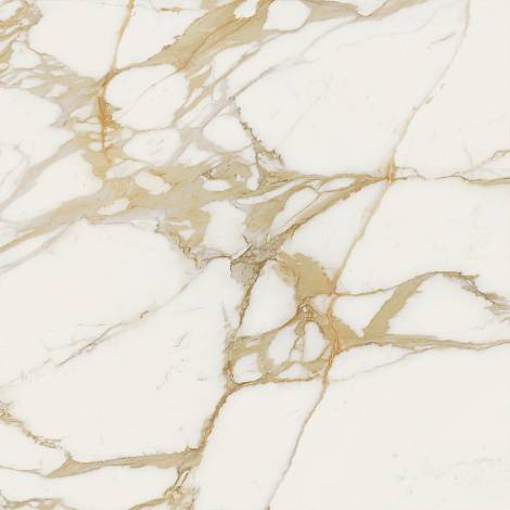 Керамогранит Marvel Next Calacatta Oro 120x120 (HGJA)