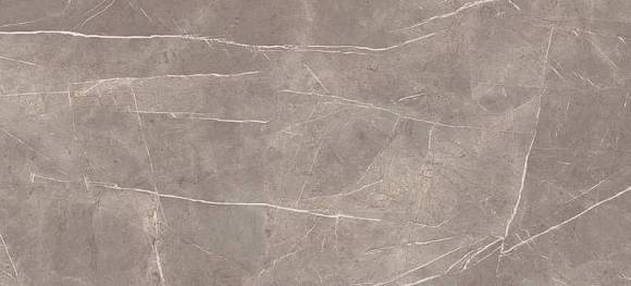 Marvel Silver Dream 50x110 (4MPV) Керамическая плитка