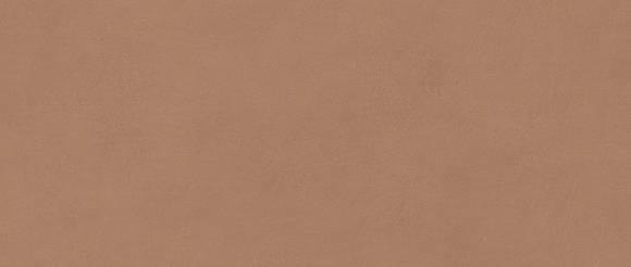 Плитка Boost Expression Sienna 50x120 