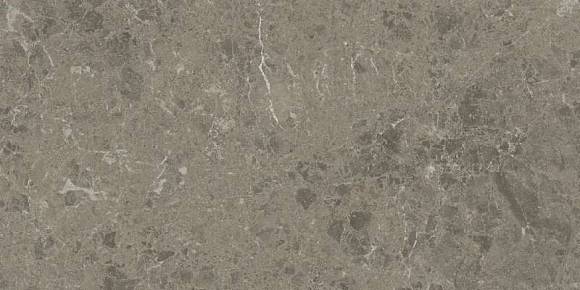 Керамогранит Marvel Meraviglia Grigio Elegante 30x60 Lapp. (AJJI) 
