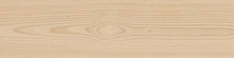 Керамогранит Log Anthology Douglas 30x120 - 20mm (HGAW)