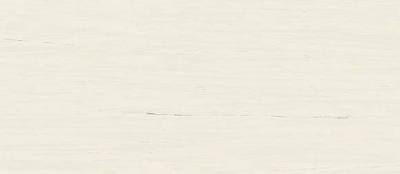 Керамогранит Marvel Bianco Dolomite 120x278 Matt  (A2RS) 